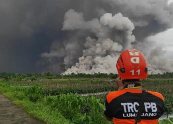 Erupsi Gunung Semeru, Jawa Timur, Rabu (19/11/2025). (Dok. BPBD)