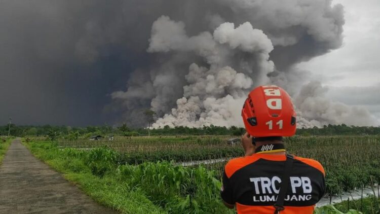 Erupsi Gunung Semeru Jawa Timur Rabu 19112025 Dok BPBD KETIKKABARcom Erupsi Gunung Semeru Jawa Timur Rabu 19112025 Dok BPBD