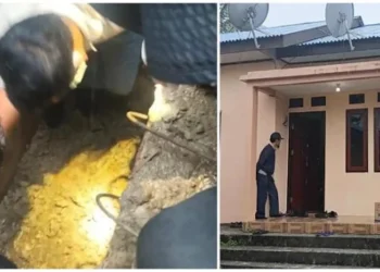 Ⓒ Hak cipta foto di atas dikembalikan sesungguhnya kepada pemilik foto
