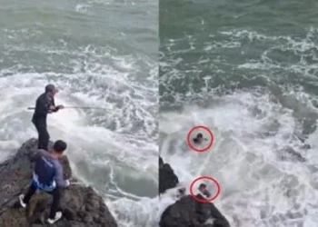 Ⓒ Hak cipta foto di atas dikembalikan sesungguhnya kepada pemilik foto