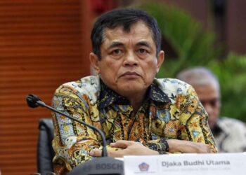 Direktur Jenderal (Dirjen) Bea dan Cukai Kementerian Keuangan Djaka Budhi Utama/Foto: detik