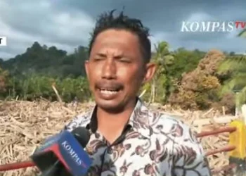 Kepala Desa Anggoli, Kabupaten Tapanuli Tengah, Sumatera Utara, saat diwawancarai wartawan, Rabu (3/12/2025). (Sumber: Tangkapan layar Kompas TV)
