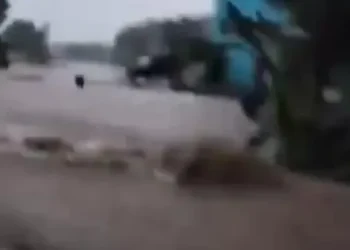 Ⓒ Hak cipta foto di atas dikembalikan sesungguhnya kepada pemilik foto