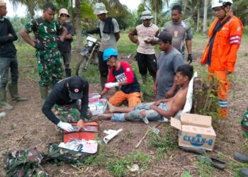 Ⓒ Hak cipta foto di atas dikembalikan sesungguhnya kepada pemilik foto
