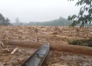 Dampak Bencana Banjir di Desa Sekumur, Kecematan Sekerak, Aceh Tamiang/ FOTO: KETIKKABAR.com