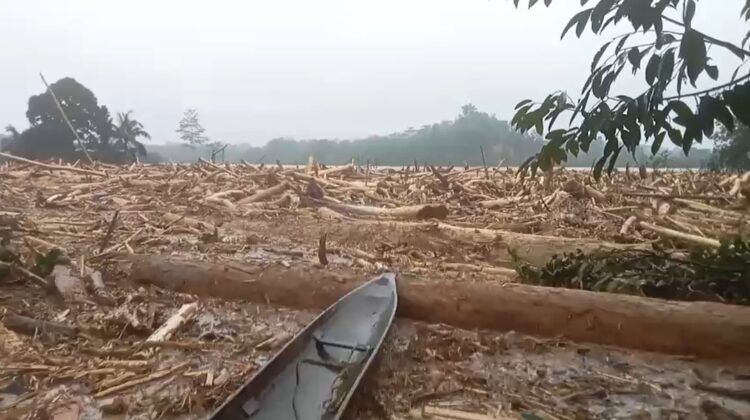 Dampak Bencana Banjir di Desa Sekumur Kecematan Sekerak Aceh Tamiang FOTO KETIKKABARcom KETIKKABARcom Dampak Bencana Banjir di Desa Sekumur Kecematan Sekerak Aceh Tamiang FOTO KETIKKABARcom