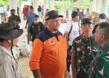 Bupati Aceh Tamiang, Armia Pahmi
