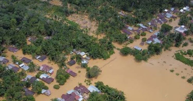Ⓒ Hak cipta foto di atas dikembalikan sesungguhnya kepada pemilik foto