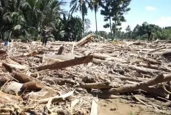 Ⓒ Hak cipta foto di atas dikembalikan sesungguhnya kepada pemilik foto