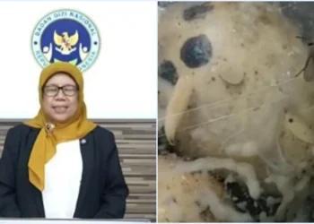 Ⓒ Hak cipta foto di atas dikembalikan sesungguhnya kepada pemilik foto KETIKKABARcom Ⓒ Hak cipta foto di atas dikembalikan sesungguhnya kepada pemilik foto