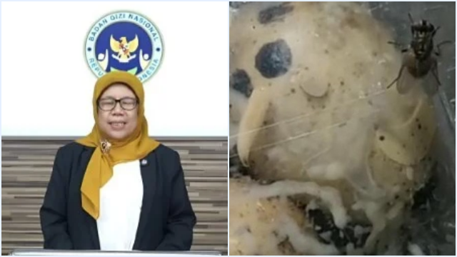 Ⓒ Hak cipta foto di atas dikembalikan sesungguhnya kepada pemilik foto KETIKKABARcom Ⓒ Hak cipta foto di atas dikembalikan sesungguhnya kepada pemilik foto