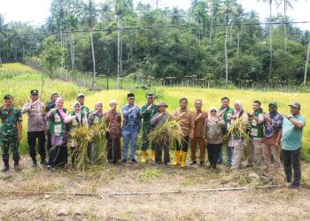 Sekretaris Daerah Kota Sabang Andri Nourman serta jajaran Forkopimda foto bersama usai melaksanakan panen perdana padi gogo di lahan BUMDes Mandiri Gampong Bateeshoek. Kamis (15/1). (FOTO: Humas)