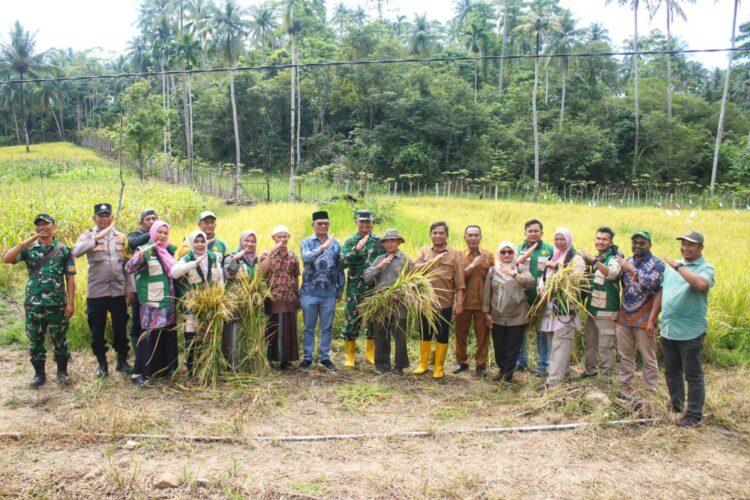 Sekretaris Daerah Kota Sabang Andri Nourman serta jajaran Forkopimda foto bersama usai melaksanakan panen perdana padi gogo di lahan BUMDes Mandiri Gampong Bateeshoek Kamis 151 FOTO Humas