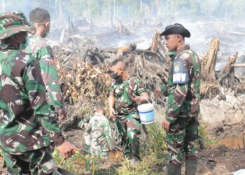 Tim gabungan yang terdiri dari TNI, Polri, BPBD, dan BKSDA, memadamkan kebakaran hutan dan lahan (karhutla) di Kecamatan Bakongan dan Trumon Timur, Kabupaten Aceh Selatan, Selasa (27/1/2026).