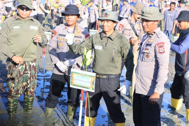 Polda Aceh menanam 10000 bibit mangrove di Desa Alue Naga Kecamatan Syiah Kuala Kota Banda Aceh Jumat 3012026 KETIKKABARcom Polda Aceh menanam 10000 bibit mangrove di Desa Alue Naga Kecamatan Syiah Kuala Kota Banda Aceh Jumat 3012026
