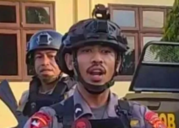Ⓒ Hak cipta foto di atas dikembalikan sesungguhnya kepada pemilik foto