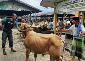 Ⓒ Hak cipta foto di atas dikembalikan sesungguhnya kepada pemilik foto.
