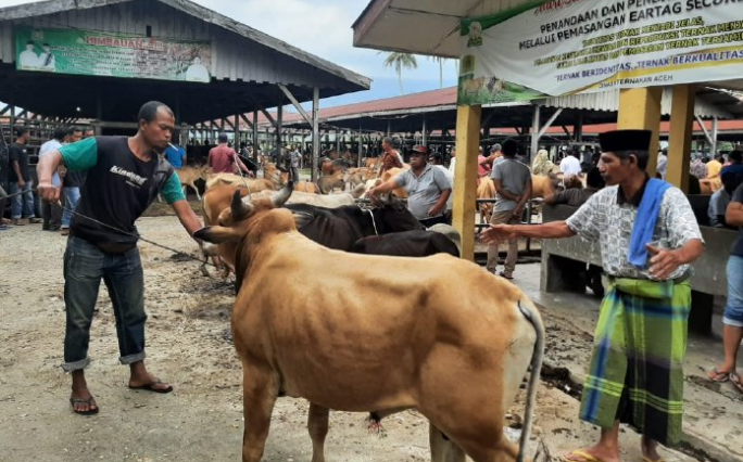 Ⓒ Hak cipta foto di atas dikembalikan sesungguhnya kepada pemilik foto KETIKKABARcom Ⓒ Hak cipta foto di atas dikembalikan sesungguhnya kepada pemilik foto