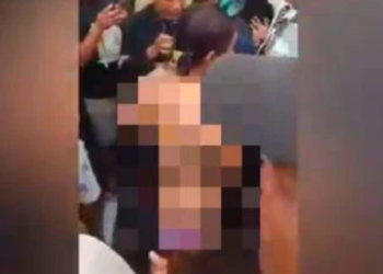 Ⓒ Hak cipta foto di atas dikembalikan sesungguhnya kepada pemilik foto.