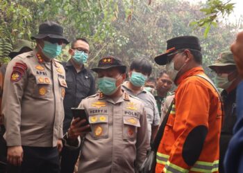 Ⓒ Hak cipta foto di atas dikembalikan sesungguhnya kepada pemilik foto.