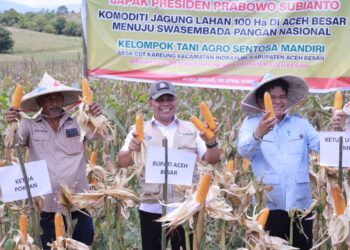 Bupati Aceh Besar Muharram Idris bersama Ketum Tani Merdeka Teuku Don Muzakir Panen Raya Jagung di Gampong Cot Kareung, Kecamatan Indrapuri, Rabu (08/04/2026). FOTO/ PROKOPIM PEMKAB ACEH BESAR