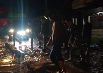 Ⓒ Hak cipta foto di atas dikembalikan sesungguhnya kepada pemilik foto.