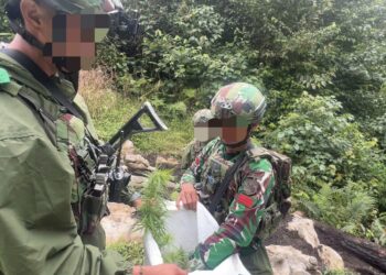 Tim gabungan Satgas Operasi Damai Cartenz 2026 bersama Polres Pegunungan Bintang dan Satgas Yonif 751/VJS menemukan ladang ganja saat menggelar patroli taktis pada Sabtu, 11 April 2026. FOTO/Ist