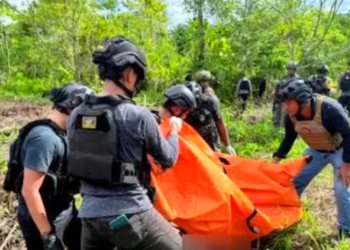 Ⓒ Hak cipta foto di atas dikembalikan sesungguhnya kepada pemilik foto.