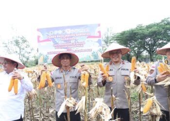 Kapolda Aceh Irjen Pol. Drs. Marzuki Ali Basyah,M.M., menghadiri kegiatan Panen Raya Jagung Serentak Kuartal II dan Grounbreaking 10 gudang ketahanan pangan serta launching operasional 166 SPPG Polri melalui zoom meeting yang berlangsung di GOR Kasim Tagok, Desa Ketapang Indah, Kecamatan Singkil Utara, Kabupaten Aceh Singkil, Sabtu, 16 Mei 2026. [FOTO: HUMAS]