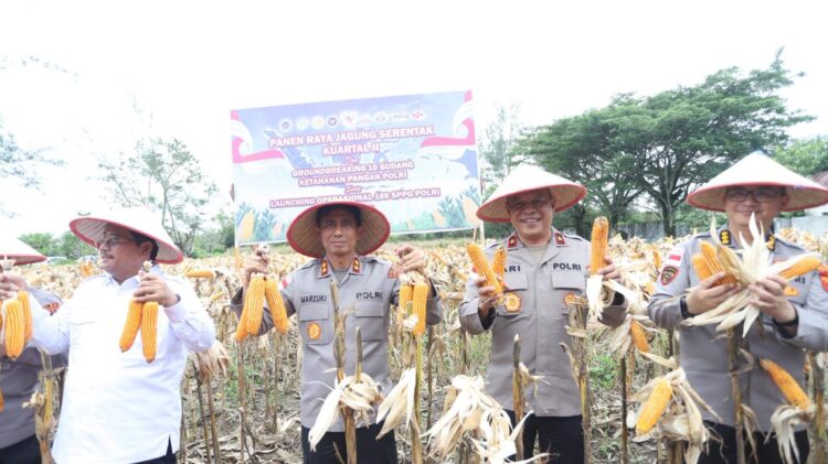 Kapolda Aceh Irjen Pol Drs Marzuki Ali BasyahMM menghadiri kegiatan Panen Raya Jagung Serentak Kuartal II dan Grounbreaking 10 gudang ketahanan pangan serta launching operasional 166 SPPG Polri melalui zoom meeting yang berlangsung di GOR Kasim Tagok Desa Ketapang Indah Kecamatan Singkil Utara Kabupaten Aceh Singkil Sabtu 16 Mei 2026 FOTO HUMAS