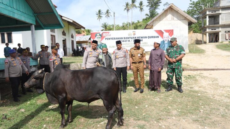 Kapolda Aceh Irjen Pol Drs Marzuki Ali Basyah M Mmenyerahkan bantuan hewan kurban berupa satu ekor sapi kepada Dayah Al Maimanah Kabupaten Aceh Timur Selasa 19 Mei 2026 FOTO HUMAS KETIKKABARcom Kapolda Aceh Irjen Pol Drs Marzuki Ali Basyah M Mmenyerahkan bantuan hewan kurban berupa satu ekor sapi kepada Dayah Al Maimanah Kabupaten Aceh Timur Selasa 19 Mei 2026 FOTO HUMAS