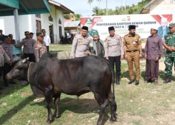 Kapolda Aceh Irjen Pol. Drs. Marzuki Ali Basyah, M. M,menyerahkan bantuan hewan kurban berupa satu ekor sapi kepada Dayah Al Maimanah Kabupaten Aceh Timur, Selasa, 19 Mei 2026. [FOTO: HUMAS]
