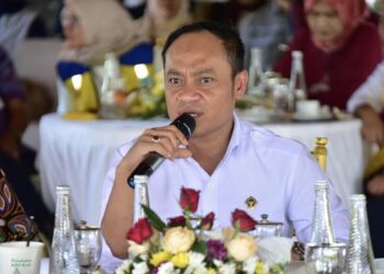 Anggota IV BPK RI, Haerul Saleh. [FOTO: Instagram/haerul_aco]
