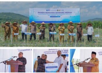 Ⓒ Hak cipta foto di atas dikembalikan sesungguhnya kepada pemilik foto.