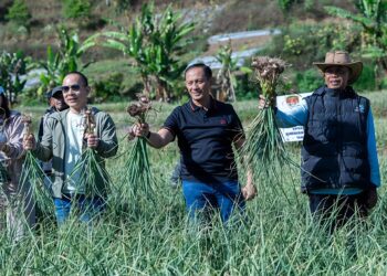 Ⓒ Hak cipta foto di atas dikembalikan sesungguhnya kepada pemilik foto.