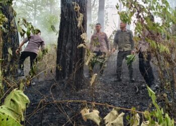 Brimob Polda Aceh dari Kompi 2 Batalyon A Pelopor bergerak cepat merespons insiden kebakaran hutan dan lahan (karhutla) yang melanda kawasan Gampong Suka Damai, Kecamatan Lembah Seulawah, Kabupaten Aceh Besar, pada Kamis (30/7/2026).