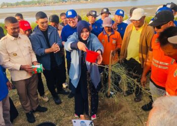 Ⓒ Hak cipta foto di atas dikembalikan sesungguhnya kepada pemilik foto.