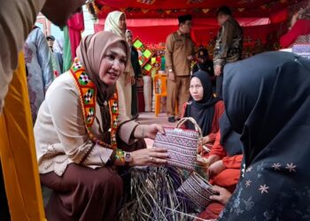 Ⓒ Hak cipta foto di atas dikembalikan sesungguhnya kepada pemilik foto.