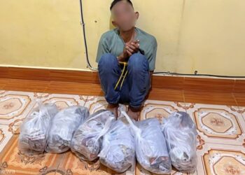 Ⓒ Hak cipta foto di atas dikembalikan sesungguhnya kepada pemilik foto.