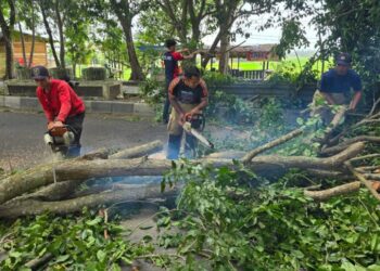 Petugas BPBD Aceh Besar melakukan pembersihan dahan pohon tumbang di kawasan Kecamatan Blang Bintang Aceh Besar, Jumat (7/8/2026). FOTO/ DOK MC ACEH BESAR