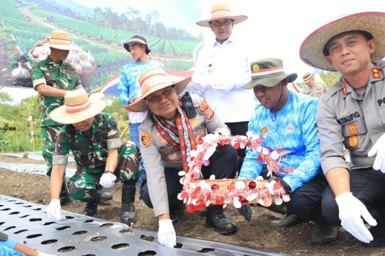 Kapolda Aceh Irjen Pol Ruddi Setiawan mengikuti kegiatan penanaman bawang putih secara serentak di Kampung Paya Tungel Kecamatan Jagong Jeget Kabupaten Aceh Tengah Rabu 1982026