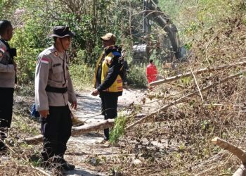 Jajaran Polres Sikka bergerak cepat menangani dampak bencana tanah longsor yang melumpuhkan akses transportasi darat menuju Dusun Nitung, Desa Nitunglea, Kecamatan Palue, Kabupaten Sikka, Nusa Tenggara Timur, Jumat (21/8/2026).