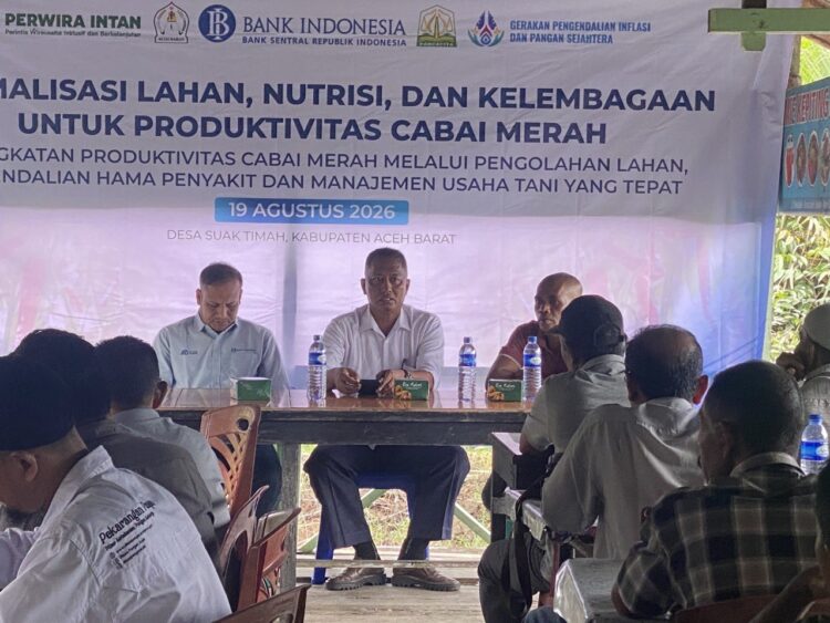 Kantor Perwakilan Bank Indonesia KPw BI Provinsi Aceh menggelar bantuan teknis budidaya cabai merah bagi kelompok tani binaan di Kabupaten Aceh Barat Rabu 1982026 KETIKKABARcom Kantor Perwakilan Bank Indonesia KPw BI Provinsi Aceh menggelar bantuan teknis budidaya cabai merah bagi kelompok tani binaan di Kabupaten Aceh Barat Rabu 1982026