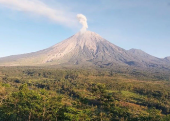 Ⓒ Hak cipta foto di atas dikembalikan sesungguhnya kepada pemilik foto.