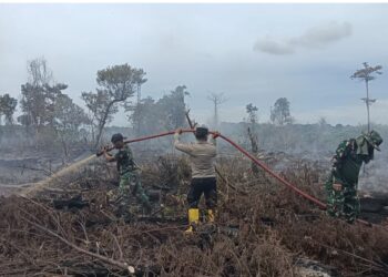 Upaya Tim Gabungan dalam penanggulangan kebakaran hutan dan lahan (Karhutla) di kawasan Gampong Drien, Kecamatan Bakongan, Kabupaten Aceh Selatan.