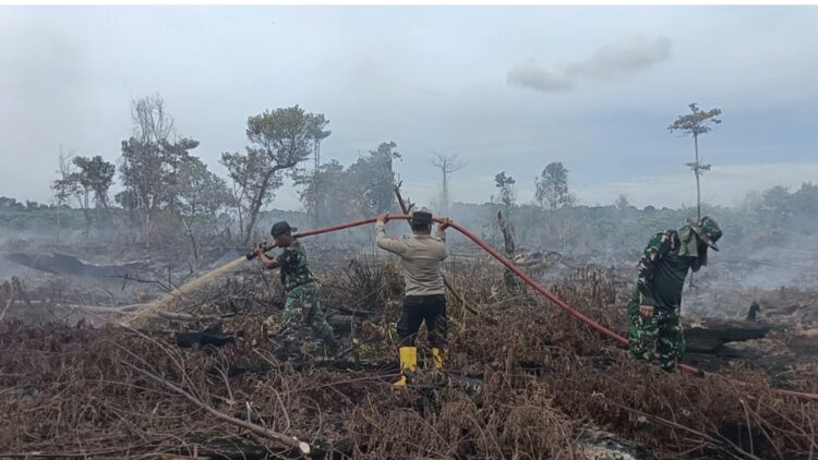Upaya Tim Gabungan dalam penanggulangan kebakaran hutan dan lahan Karhutla di kawasan Gampong Drien Kecamatan Bakongan Kabupaten Aceh Selatan KETIKKABARcom Upaya Tim Gabungan dalam penanggulangan kebakaran hutan dan lahan Karhutla di kawasan Gampong Drien Kecamatan Bakongan Kabupaten Aceh Selatan