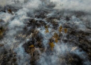 Foto Udara kebakaran di Kalimantan Selatan FOTO ANTARA
