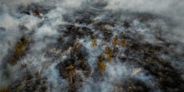 Foto Udara kebakaran di Kalimantan Selatan FOTO ANTARA