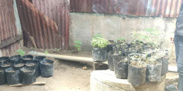 Ⓒ Hak cipta foto di atas dikembalikan sesungguhnya kepada pemilik foto
