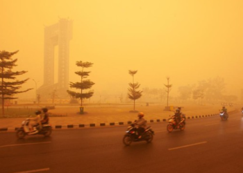 Penampakan langit berwarna orange imbas asap karhutla di Palangka Raya turut disorot media asing Foto REUTERSArief Rahman Septian Prathama